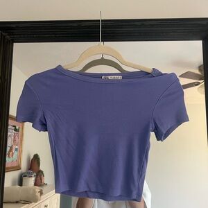 Zara Periwinkle Fitted Crop Top